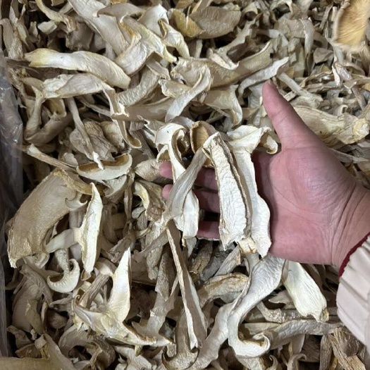 ￼ 松茸干片、产地一手货源、无中间商、各种规格齐全、￼量大从