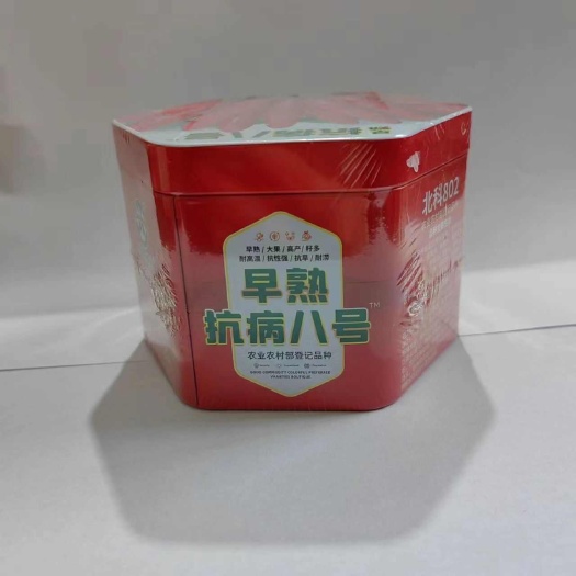 北科种业抗病八号辣椒高抗病大果朝天椒辣椒种子