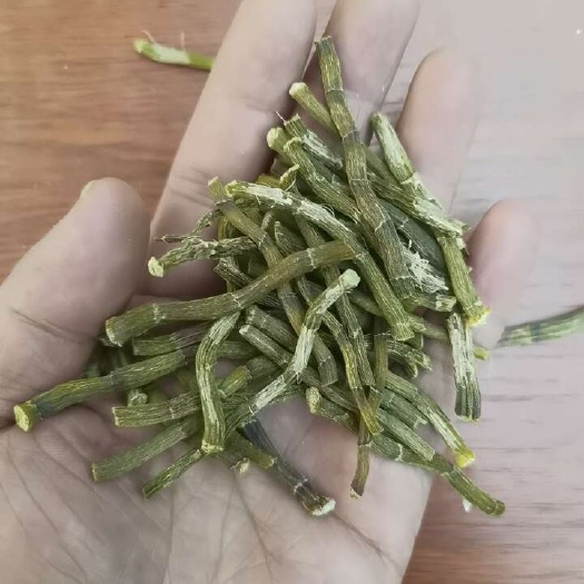 昆明铁皮石斛寸条