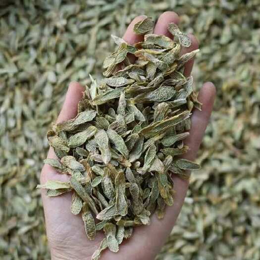 紫皮石斛片 云南石斛基地直销 胶质好 干净少杂质500克一袋