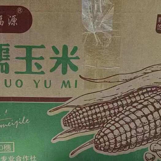 苏州三间坊A级玉米