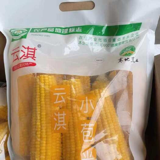 苏州东北云淇甜糯玉米