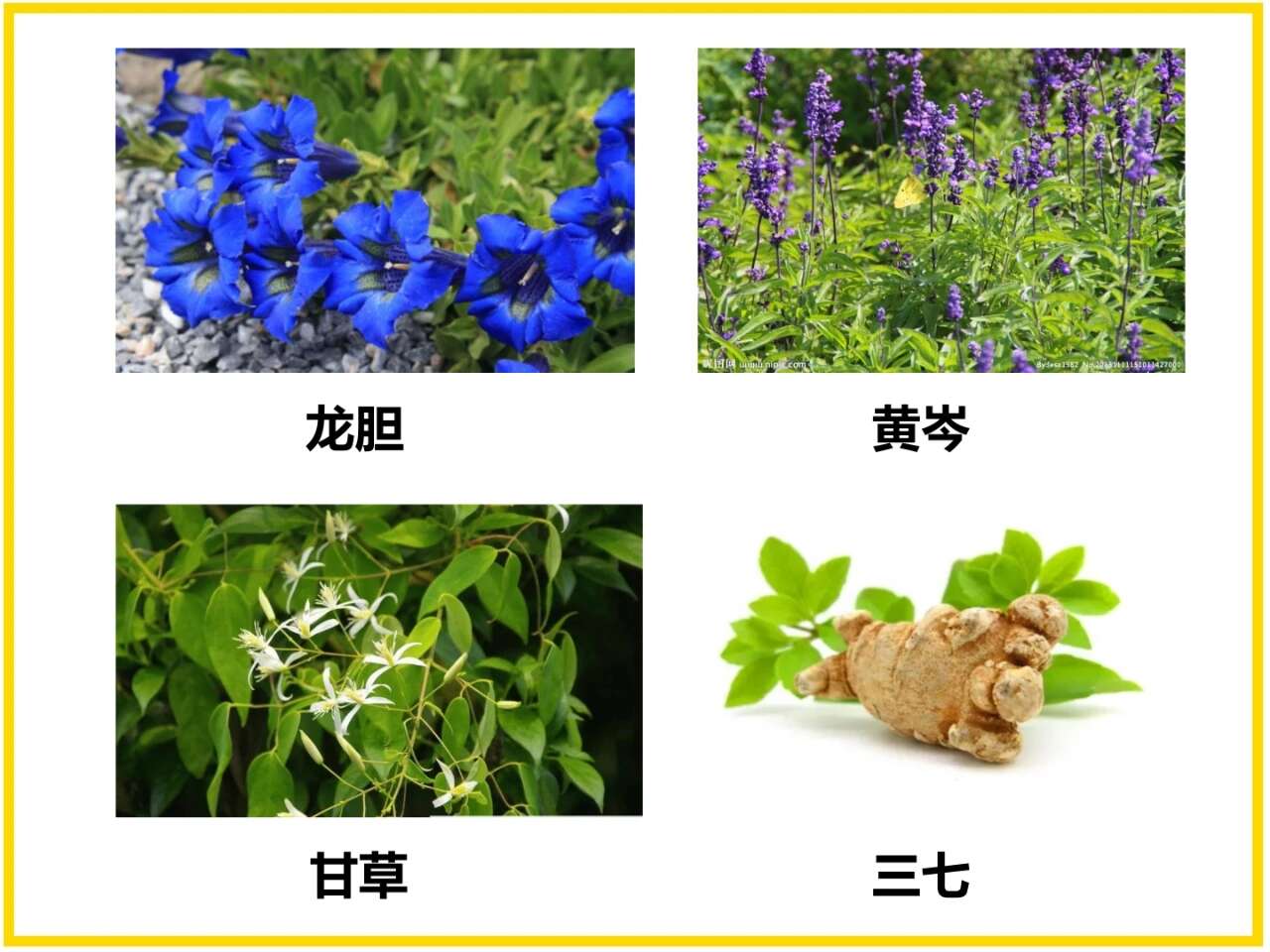 叶面肥：含；铁锌锰硼铜等。植保平衡营养全面，适合各种作物