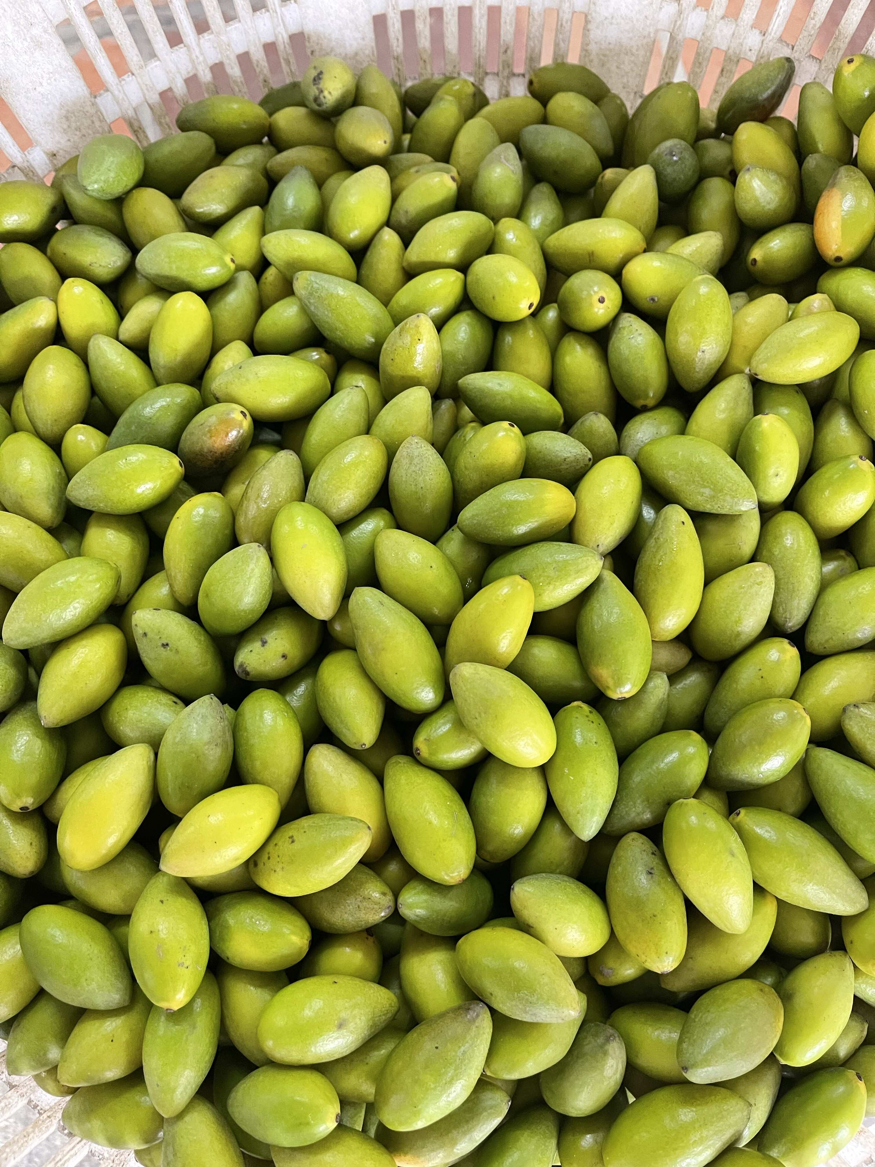 二号橄榄 原味 生吃 煲汤橄榄现摘香橄榄 青橄榄 橄榄果