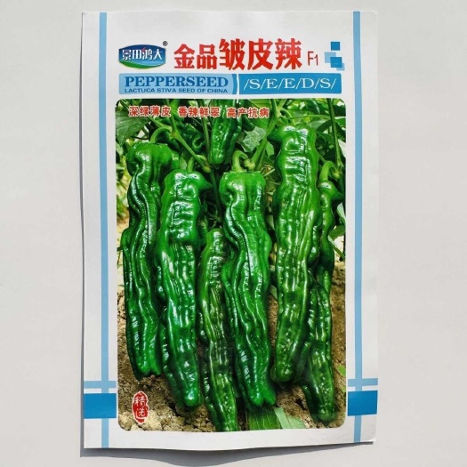 金品皱皮辣辣椒种子特辣深绿色新型小皱皮辣椒种子薄皮皱皱辣种子
