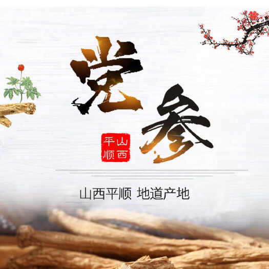 平顺县潞党参平顺农家无硫磺自然色平顺党参上党人参
