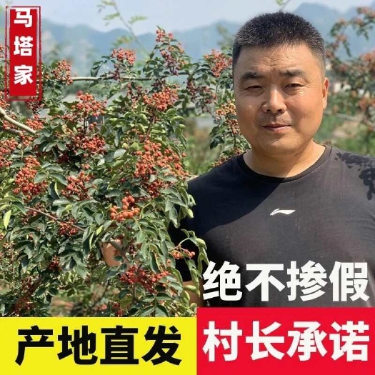 平顺县山西平顺大红袍花椒韩城大红袍花椒汉源花椒红花椒伏椒