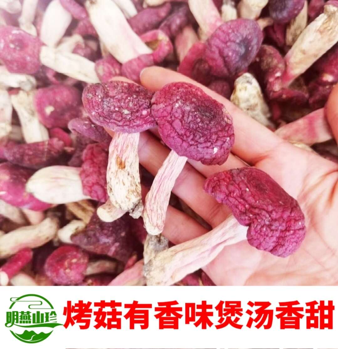 野生红菇干货深山特产精选红蘑菇菇蕾一斤起批包邮