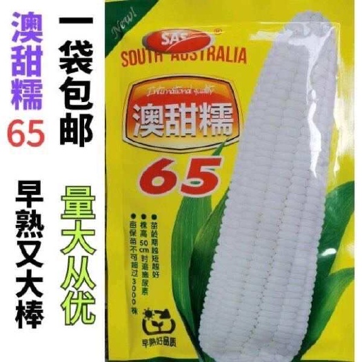 淮安澳甜糯65白糯玉米种子南澳早熟大棒甜加糯高产水果玉米种子包邮