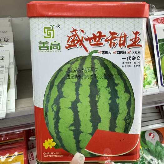 淮安善高盛世甜王西瓜种子高产早熟抗病杂交一代大红瓤西瓜种籽大田孑