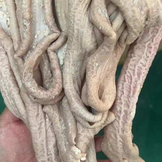 阳信县牛肠  半熟牛小肠