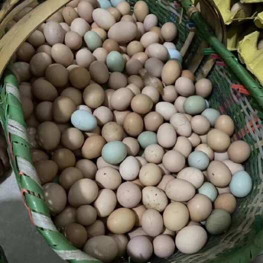 沙洋县新鲜土鸡蛋长期供应