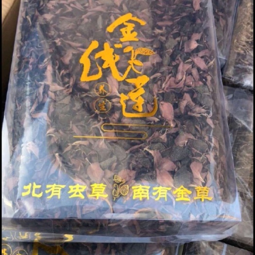 和平县林下金线莲干货（1斤装也是批发价，味香，质量好)