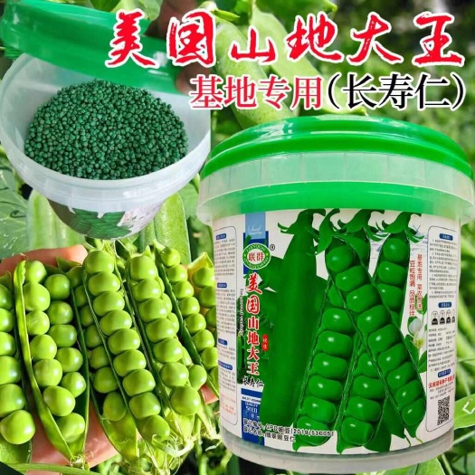 美国山地大王长寿仁豌豆种子分枝力强品质上乘长寿仁豌豆种子