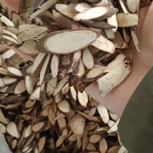 玉林黑皮千斤拨