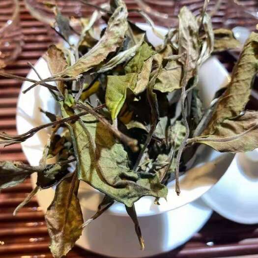 江城县2024头春白茶