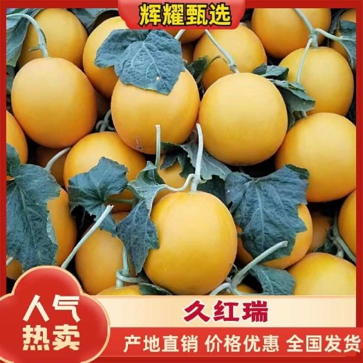 莘县精品久红瑞，对接商超