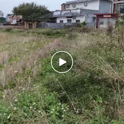 肇庆贺州市八步区信都镇平龙村土地出租