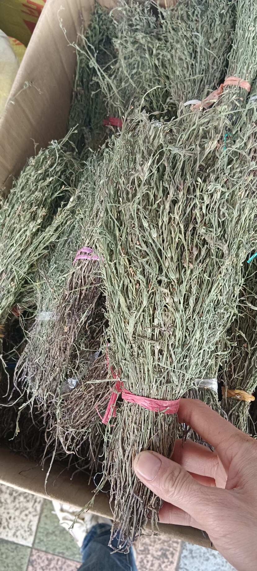 中药材独脚金
