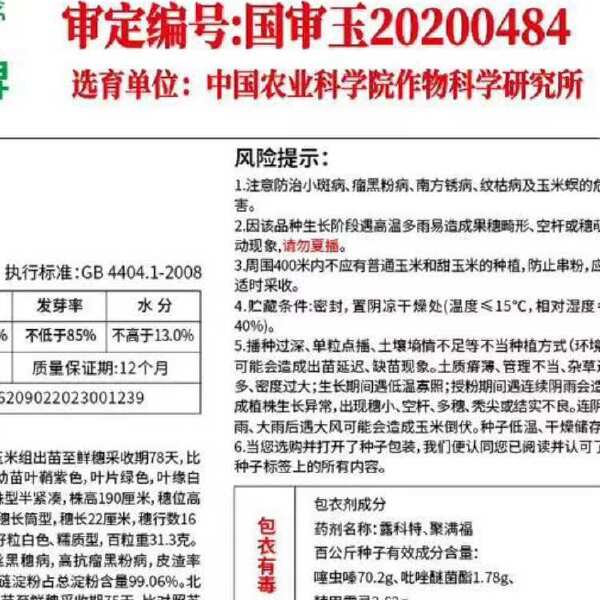 中国农业科学院培育：中糯330、中糯336白糯玉米，又甜又糯