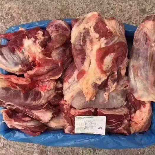 河间市牛肉 牛腱肉 新西兰牛腱子 质量好 干货