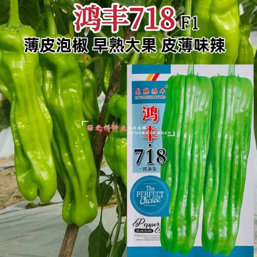沭阳县正品鸿丰718辣椒种子味辣薄皮泡椒种子长灯笼型椒种籽基地专用