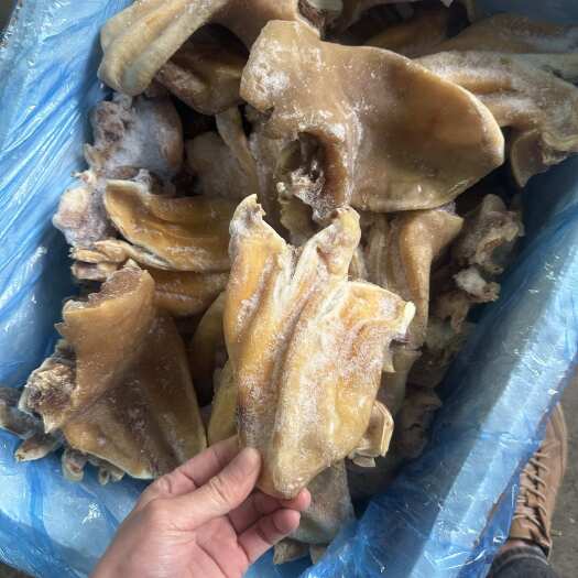 潮州牛耳