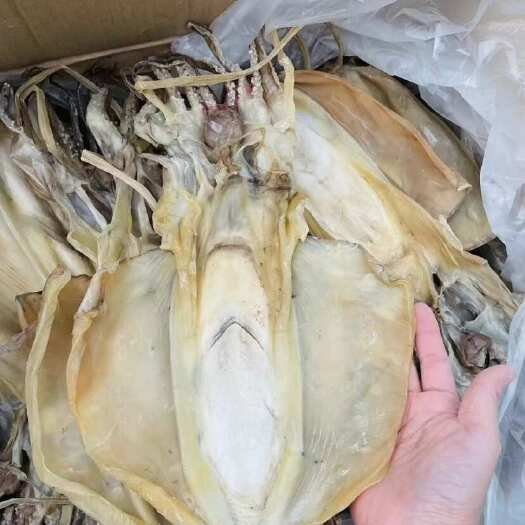 墨鱼干目鱼干煲汤海鲜干货乌贼干墨鱼干货淡酒店餐厅供应