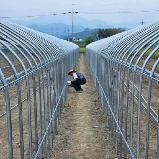 无锡专业生产温室大棚。玻璃温室 蔬菜大棚等 钢管骨架价格美丽