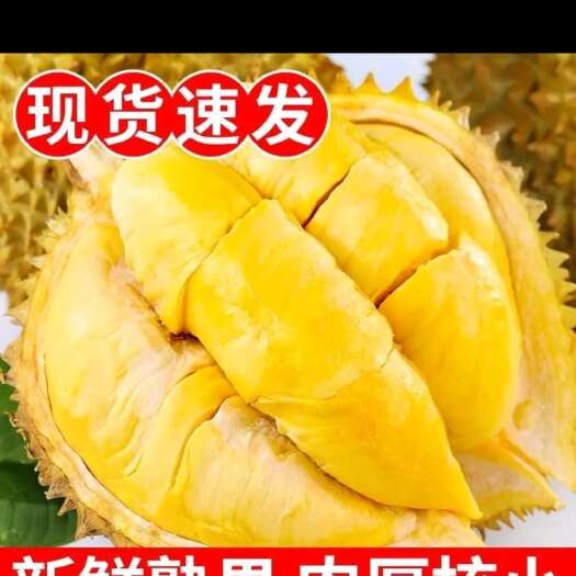 昆明金枕榴莲