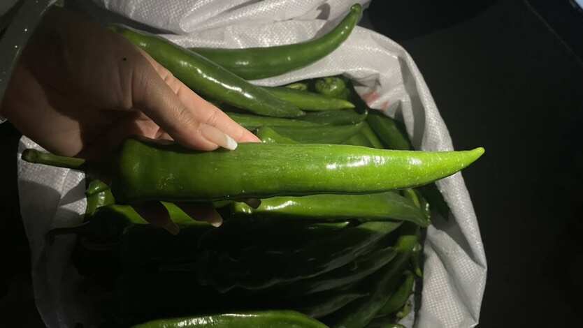阳江优质尖椒现货新鲜采摘