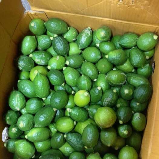 深圳香水柠檬 香水二级果