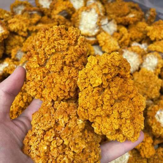 昆明云南金耳菌新鲜金耳干货黄金木耳无硫熏黄耳菌脑耳农家货自然风干