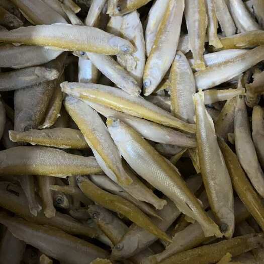 安新县单冻公鱼！单冻白条鱼，麦穗鱼，各类冻鱼，欢迎选购！
