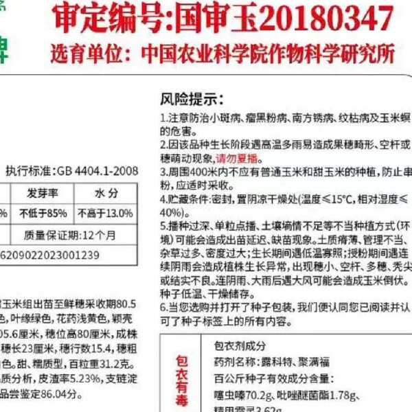 中国农业科学院培育：中糯330、中糯336白糯玉米，又甜又糯