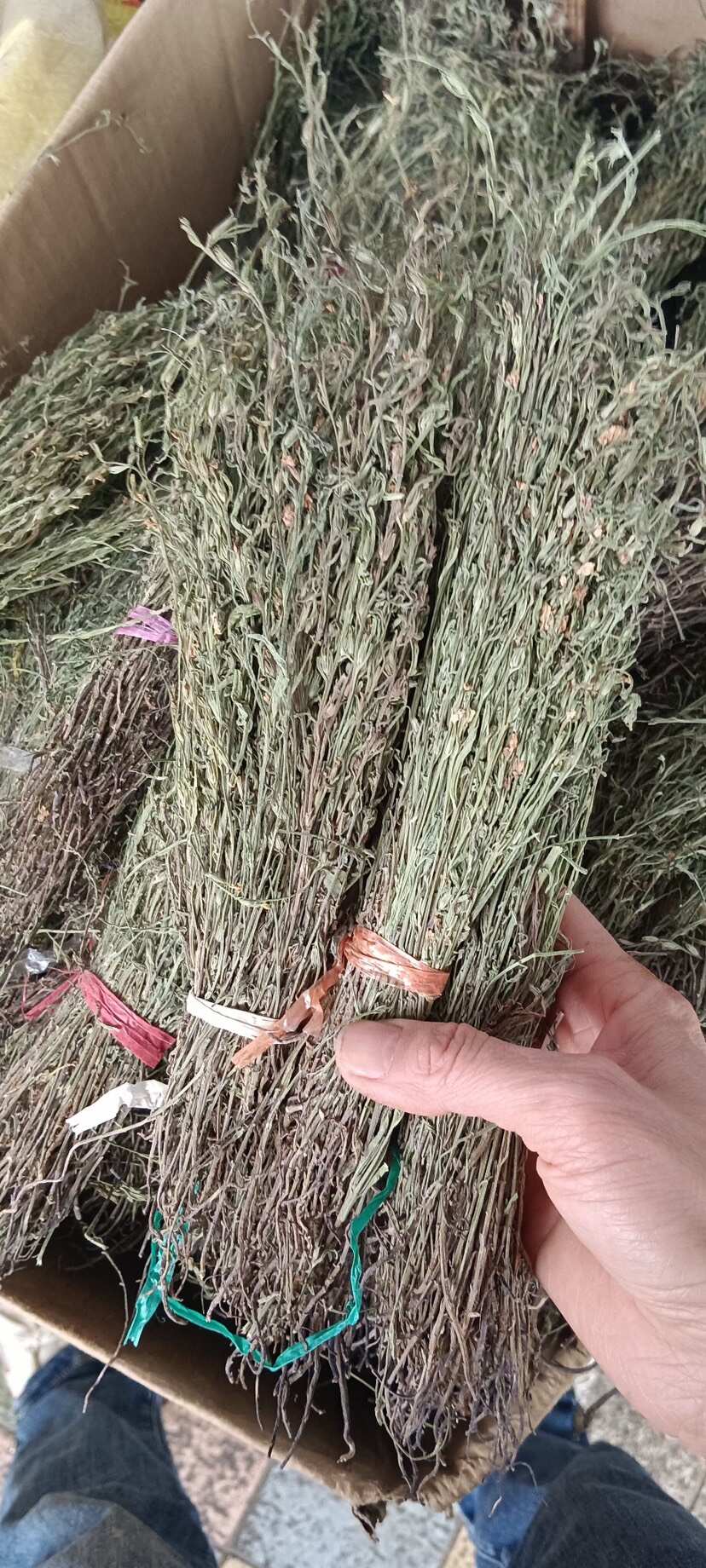 中药材独脚金
