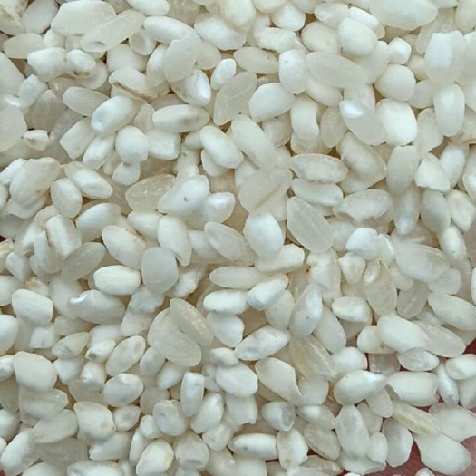 天津各种碎米