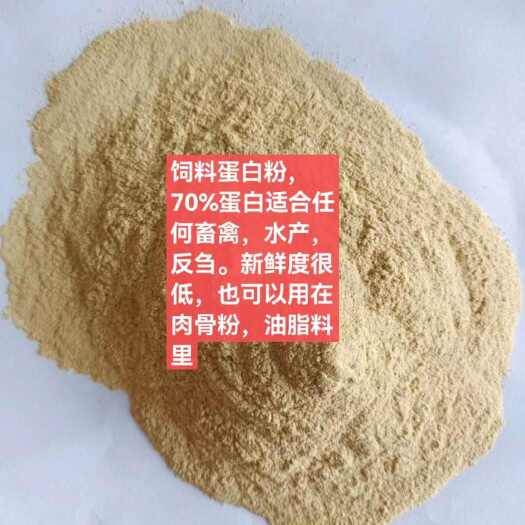 无口感无异味70%蛋白粉