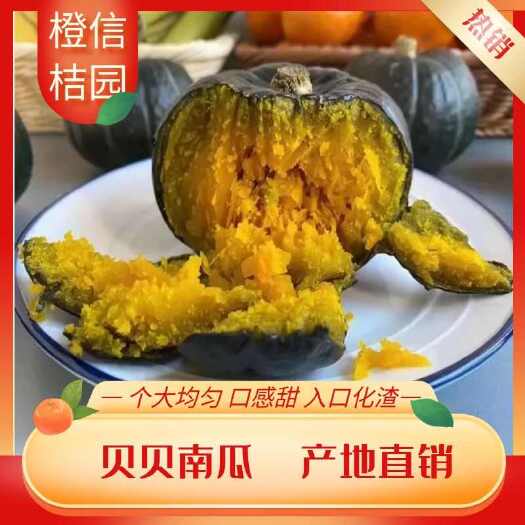 南寧產(chǎn)地大量銷售貝貝南瓜和板栗南瓜，香糯甜面，對接電商平臺