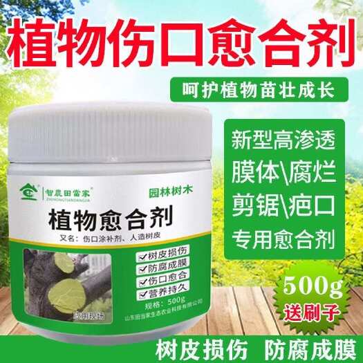 诸城市植物伤口愈合剂果树伤口树皮封口修复涂膜树枝嫁接树干大树涂抹剂