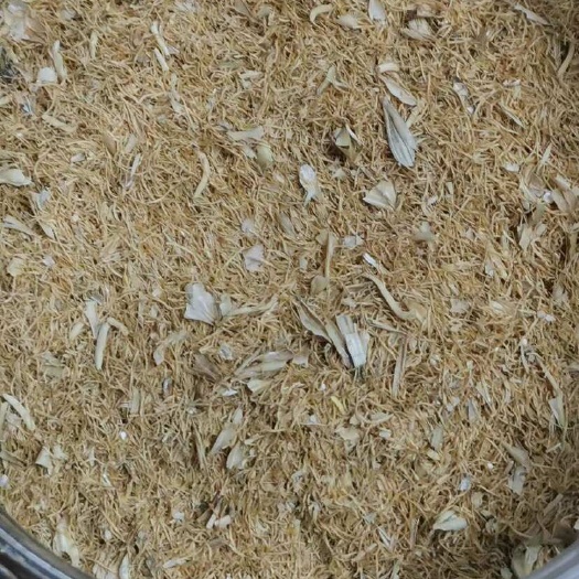 江阴市麦芽根，26蛋白-30蛋白以上之间全有！反刍动物的福音！