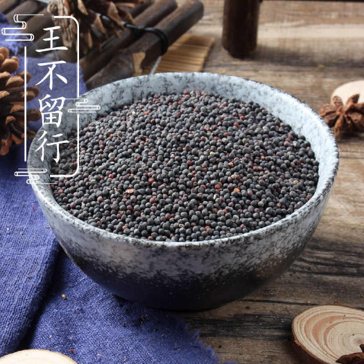 亳州王不留行 炒王不留行 籽藥 中藥材規(guī)格齊全