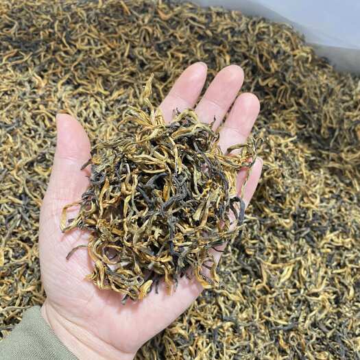 潍坊云南思茅滇红金丝红茶新茶头春茶蜜香红茶金丝滇红 高品质红茶