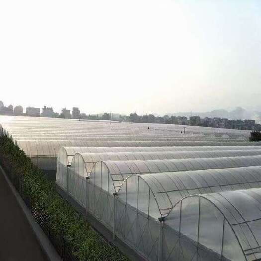 北海出租广西北海市温室大棚