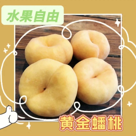 蒙阴县【一件代发】沂蒙黄毛蟠桃，现摘现发，品质售后都有保证，包邮。