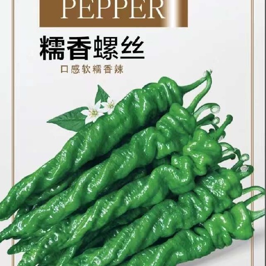 沈阳全螺旋螺丝椒种子