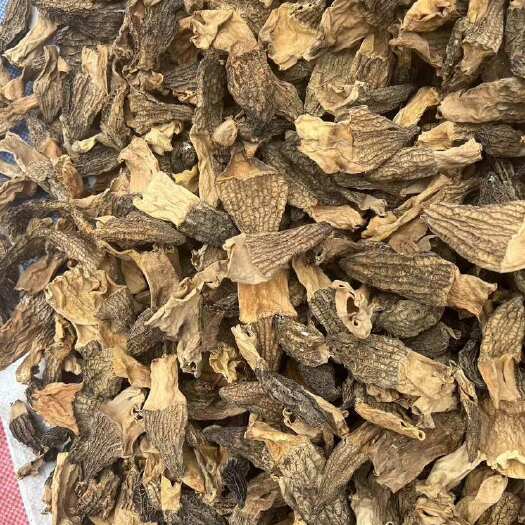 广元干羊肚菌产地一条街里最便宜的货