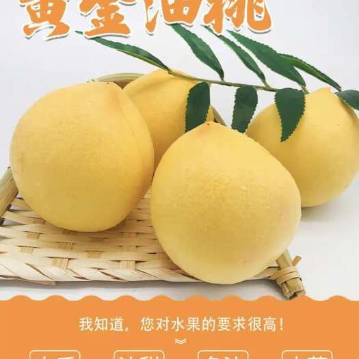 蒙阴县【一件代发】沂蒙黄油桃，现摘现发，品质售后都有保证，包邮。