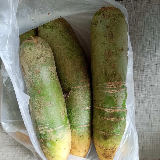  萝卜批发，支持电商一件代发