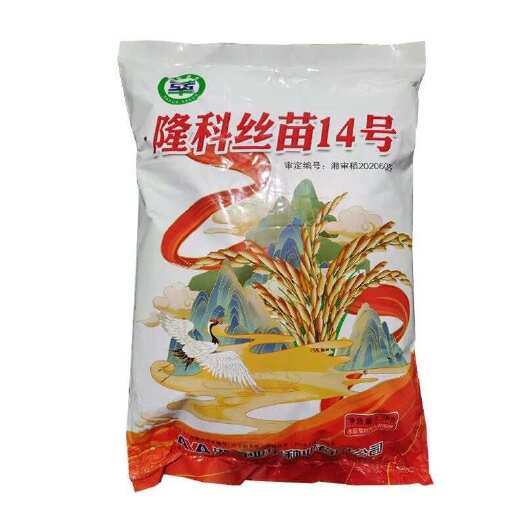 长粒优质水稻种子隆科丝苗 常规稻谷 抗病抗倒落色好 3斤装